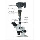 VariMag II Microscope Camera Adapter