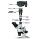 VariMag II DSLR Microscope Camera Adapter