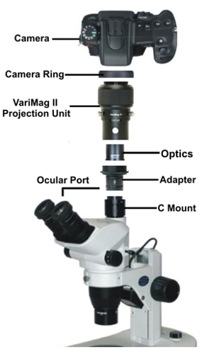 vmag2-diagram.jpg